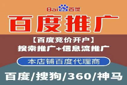 网络营销新篇章：竞价推广案例分析